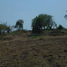  Terreno (Parcela) en venta en Totolapan, Morelos, Totolapan