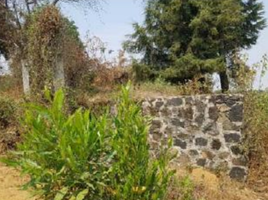  Terreno (Parcela) en venta en Totolapan, Morelos, Totolapan
