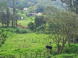  Terreno (Parcela) en venta en Tena, Cundinamarca, Tena