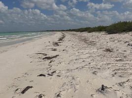  Grundstück zu verkaufen in Lazaro Cardenas, Quintana Roo, Lazaro Cardenas