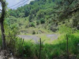  Grundstück zu verkaufen in Acajete, Veracruz, Acajete