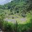  Land for sale in Acajete, Veracruz, Acajete