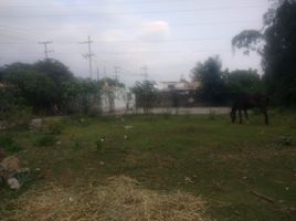  Grundstück zu verkaufen in Huitzilac, Morelos, Huitzilac, Morelos