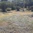  Land for sale in Colon, Cordoba, Colon