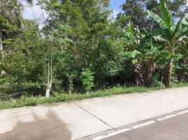  Land for sale in Bohol, Central Visayas, Dauis, Bohol