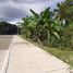  Land for sale in Bohol, Central Visayas, Dauis, Bohol