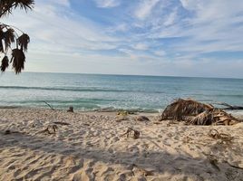  Grundstück zu verkaufen in Carmen, Campeche, Carmen