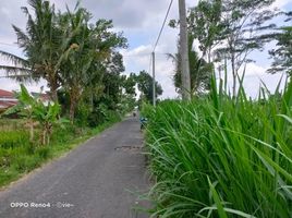  Terreno (Parcela) en venta en Sleman, Yogyakarta, Sleman, Sleman, Yogyakarta