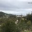 3 Bedroom House for sale in Chile, Puerto Montt, Llanquihue, Los Lagos, Chile