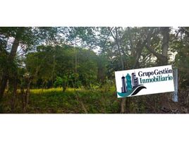  Terrain for sale in Dolega, Chiriqui, Dolega, Dolega