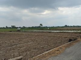  Tanah for sale in Prambanan, Klaten, Prambanan