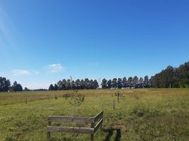  Terreno (Parcela) en venta en Santa Fe, Rosario, Santa Fe