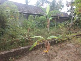  Land for sale in Bantul, Yogyakarta, Sedayu, Bantul