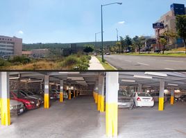 12 m² Office for rent in Querétaro, Queretaro, Querétaro