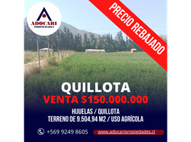  Terreno (Parcela) en venta en Chile, Hijuelas, Quillota, Valparaíso, Chile