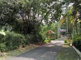  Terreno (Parcela) en venta en Seyegan, Yogyakarta, Seyegan, Sleman