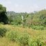  Land for sale in Purwakarta, West Jawa, Purwakarta, Purwakarta