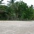  Land for sale in Puerto Princesa City, Mimaropa, Puerto Princesa City, Palawan, Mimaropa
