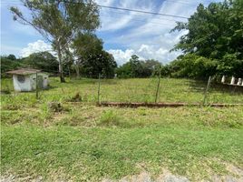  Terreno (Parcela) en venta en Panamá Oeste, San Carlos, San Carlos, Panamá Oeste