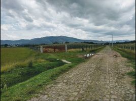  Terreno (Parcela) en venta en Huimilpan, Querétaro, Huimilpan