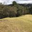 Terrain à vendre à Retiro, Antioquia, Retiro