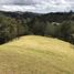 Terrain à vendre à Retiro, Antioquia, Retiro