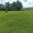  Land for sale in Popayan, Cauca, Popayan