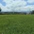  Land for sale in Popayan, Cauca, Popayan