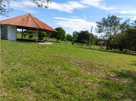  Land for sale in El Espino, San Carlos, El Espino