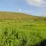  Terrain for sale in Antonio Ante, Imbabura, Imbaya San Luis De Cobuendo, Antonio Ante