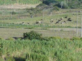  Land for sale in Antonio Ante, Imbabura, Imbaya San Luis De Cobuendo, Antonio Ante