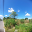  Grundstück zu verkaufen in Conkal, Yucatan, Conkal