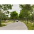  Land for sale in Tekom, Yucatan, Tekom