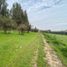  Land for sale in Cachapoal Libertador General Bernardo Ohiggins, Machali, Cachapoal, Libertador General Bernardo Ohiggins, Chile