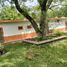 4 Schlafzimmer Haus zu verkaufen in Bustamante, Nuevo Leon, Bustamante