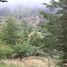  Land for sale in Pisaflores, Hidalgo, Pisaflores