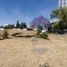  Land for sale in Ocoyucan, Puebla, Ocoyucan