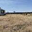  Land for sale in Ocoyucan, Puebla, Ocoyucan