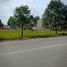  Land for sale in Hiep Thanh, Thu Dau Mot, Hiep Thanh