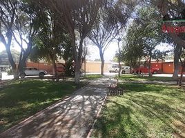 4 Habitación Casa en venta en Chile, Copiapo, Copiapó, Atacama, Chile
