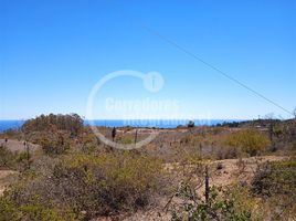  Terreno (Parcela) en venta en Chile, El Quisco, San Antonio, Valparaíso, Chile