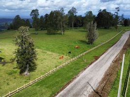  Terreno (Parcela) en venta en Los Lagos, Valdivia, Los Lagos