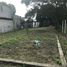  Terreno (Parcela) en alquiler en Altamira, Tamaulipas, Altamira, Tamaulipas