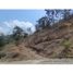  Land for sale in Ciudad Guzman, Jalisco, Ciudad Guzman