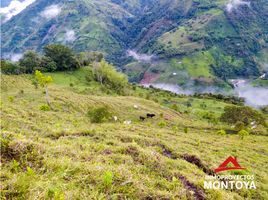 Estudio Casa en venta en Colombia, Guatica, Risaralda, Colombia