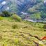Studio Villa zu verkaufen in Guatica, Risaralda, Guatica