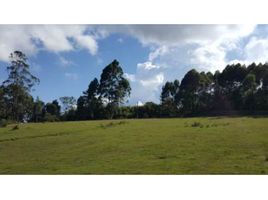  Land for sale in Marinilla, Antioquia, Marinilla