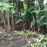  Terreno (Parcela) en venta en Tambaksari, East Jawa, Tambaksari, Surabaya, East Jawa