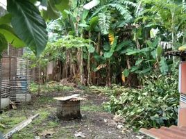  Terreno (Parcela) en venta en Tambaksari, East Jawa, Tambaksari, Surabaya, East Jawa