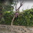 Villa 3 chambre à vendre à Cuernavaca, Morelos, Cuernavaca